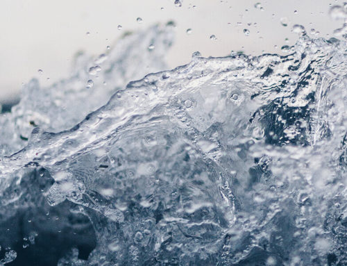 Understand Potential Risks When Buying a Gravity-Fed Water Filter