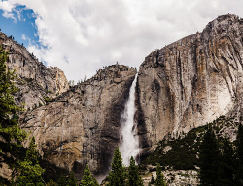 Enjoy National Parks in Person or Online