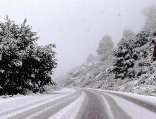 Winter Preparedness: Getting Your Car Ready for the Road