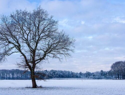 Winter Preparedness: What’s the Difference Between a Winter Weather Advisory, Watch and Warning?